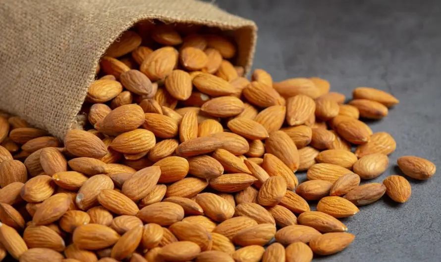 Amandes et musculation : cet aliment aux 1000 vertus