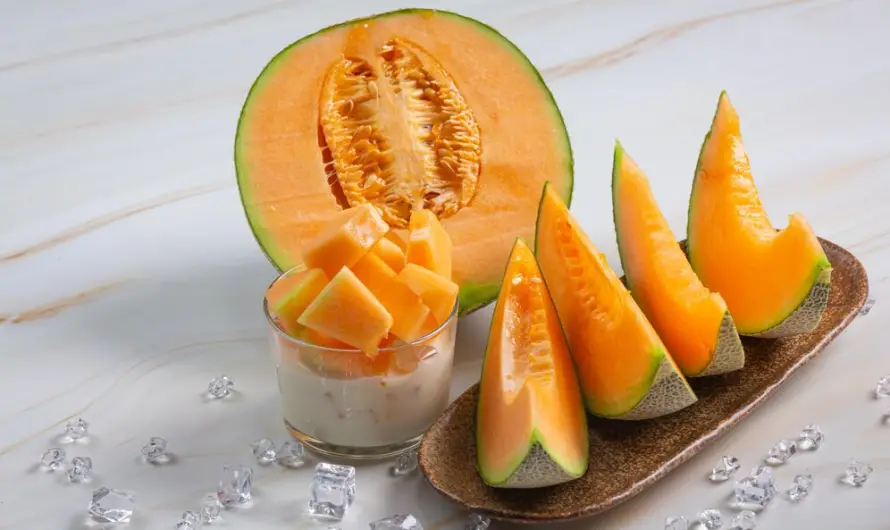 Melon et Musculation : Un Allié Rafraîchissant pour les Athlètes