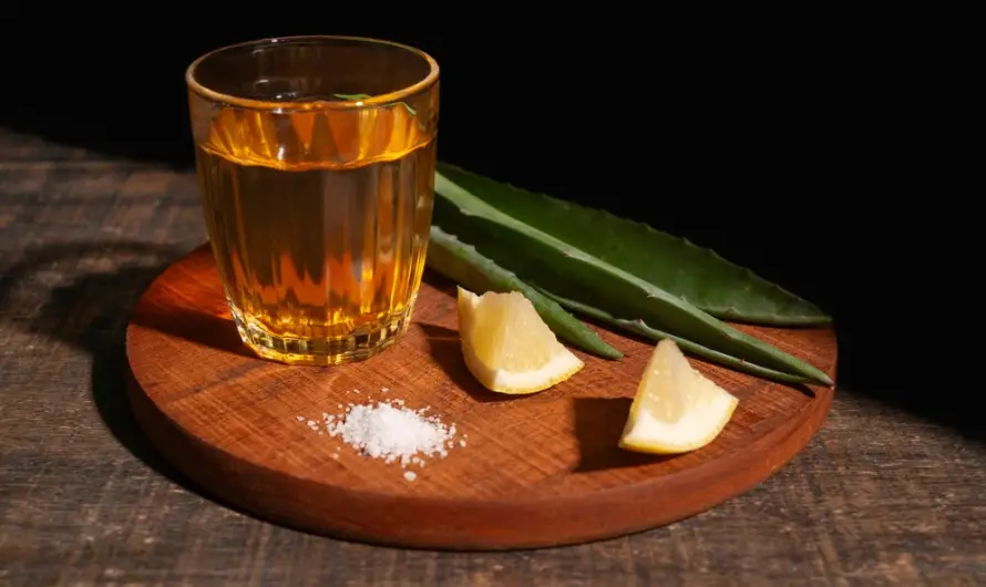 Sirop d’Agave et Musculation : Bon ou Mauvais ?