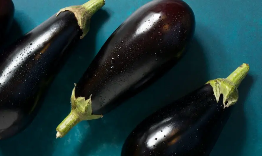 L’aubergine musculation : un superaliment fitness