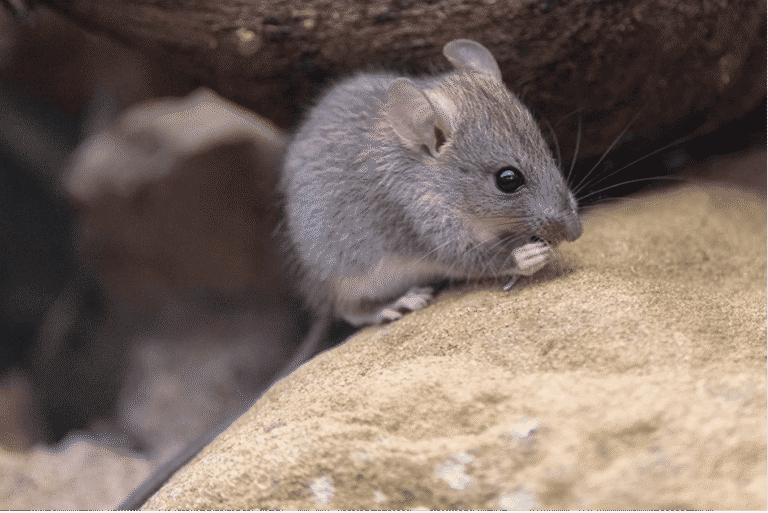 Hygiène, performance et prévention : les risques invisibles dans les salles de fitness